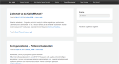 Desktop Screenshot of internettenparakazanilirmi.com